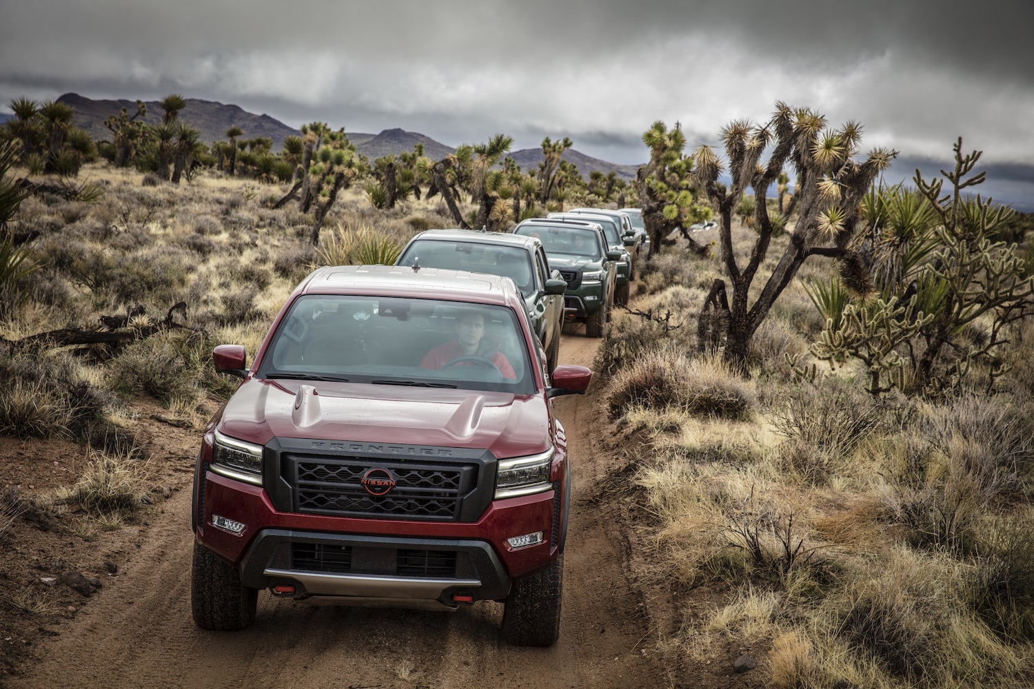2022 Nissan Frontier Pro-4X front end close up off-roading on a dirt trail with Joshua trees in the back.
