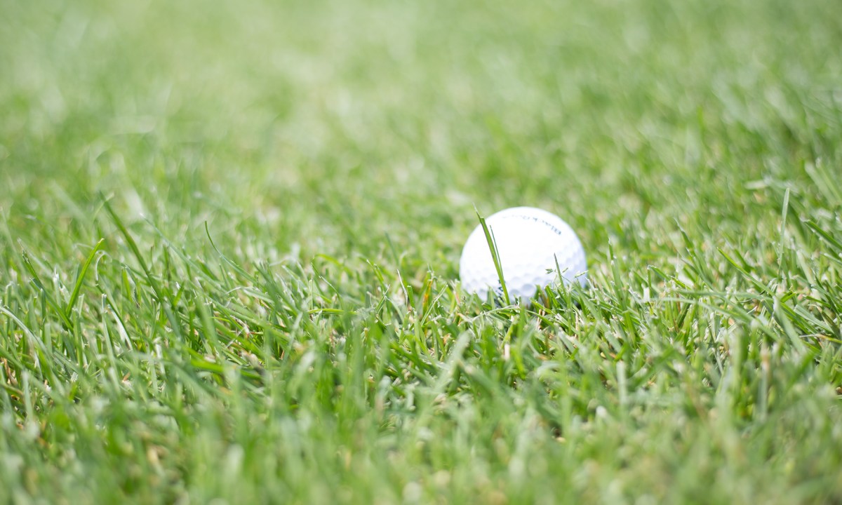 A golf ball sitting in grass.